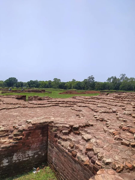 Beautiful Shot Ruins Old Historical Place Comilla Bangladesh Trees Background — Stock Photo, Image