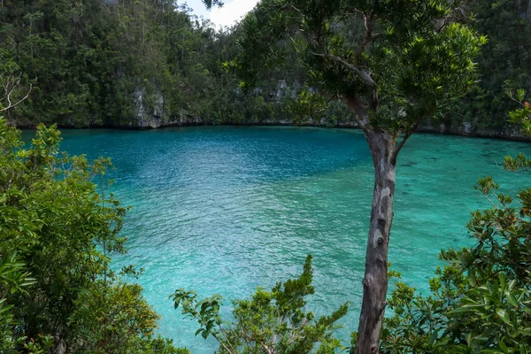 Ein Paradies Auf Erden Eine Blaue Lagune Strand Der Philippinischen — Stockfoto