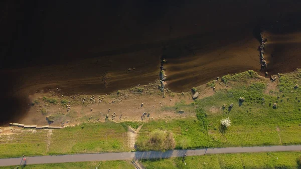İki farklı mevsimlik doğaya sahip bir yolun hava görüntüsü.
