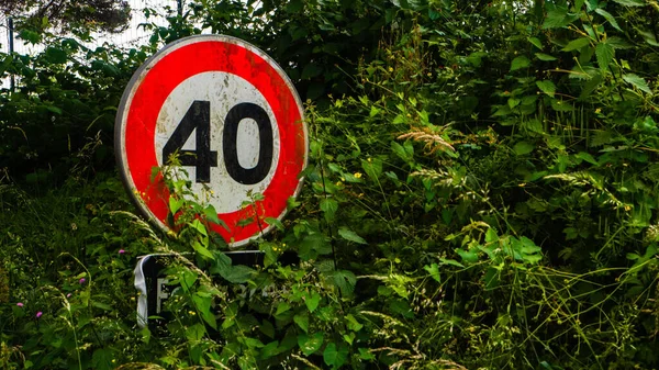 A speed limit sign hidden by nature in the French campaign in spring