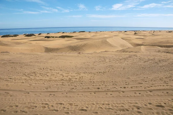 Paysage Désert Dunes Sable Europe Africaine Sur Île Gran Canaria — Photo