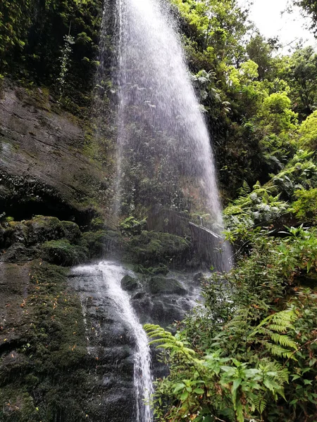 Vertical Shot Los Tilos Waterfall Island Palma Canary Islands Spain — Stock Photo, Image