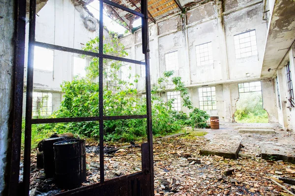 Antigua Planta Industrial Abandonada Ruinas Véneto Italia —  Fotos de Stock