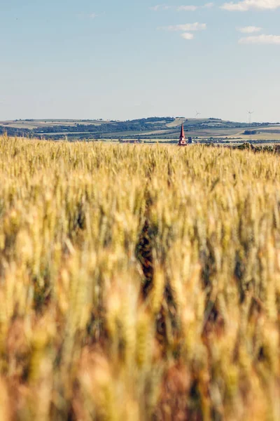 オーストリアのカッツェルスドルフにある教会 風車の背景にある黄金の小麦畑の美しい景色 — ストック写真