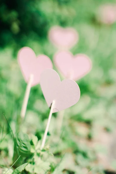 Vertical Shot Pink Pastel Heart Decorations Ground — Stock Photo, Image