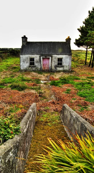 Een Verticaal Schot Van Een Verlaten Cottage Eire Ierland — Stockfoto