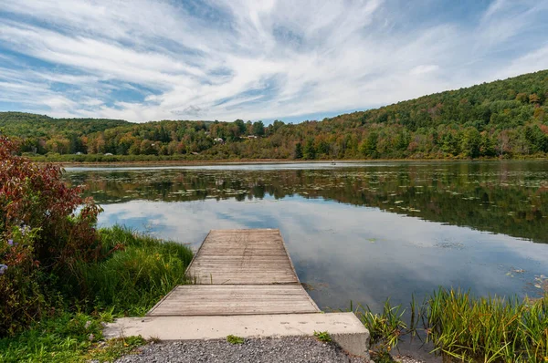 Ein Schöner Blick Auf Den Grünen See Umgeben Von Dichten — Stockfoto