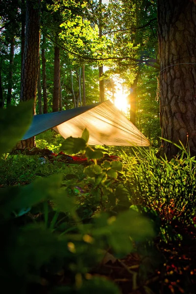 Schlafen Sie Draußen Der Natur Sonnenaufgang Wald Mit Blick Auf — Stockfoto