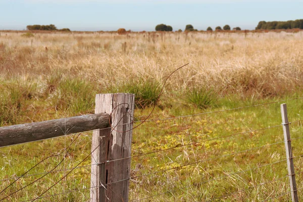 農業分野の古い木やワイヤー素朴なフェンス — ストック写真