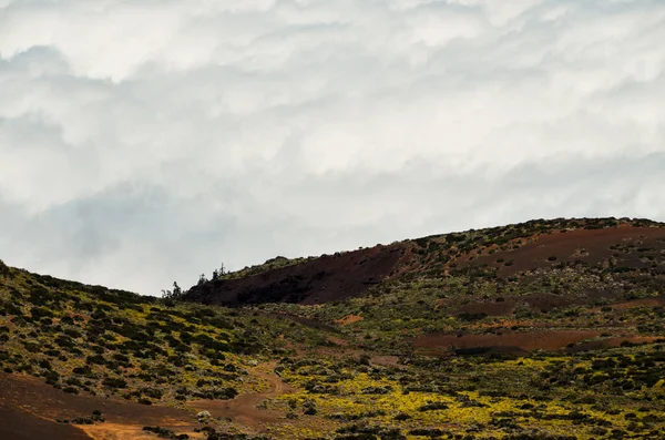 Vysoká Mračna Nad Lesem Borovicových Stromů Ostrově Tenerife — Stock fotografie