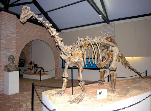 Esqueleto Dinosaurio Expuesto Museo —  Fotos de Stock