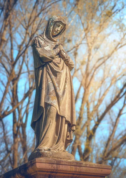 Eine Betende Statue Der Muttergottes Einem Park — Stockfoto