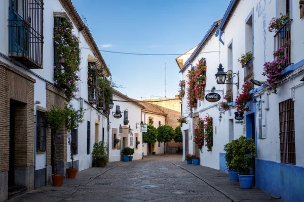 西班牙科尔多瓦美丽的古老小巷 夏天开满鲜花 — 图库照片