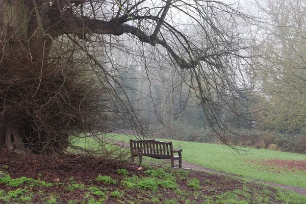 英国のリーディング ロウアー アーリーの公園の裸の木の前にある木製のベンチの眺め — ストック写真