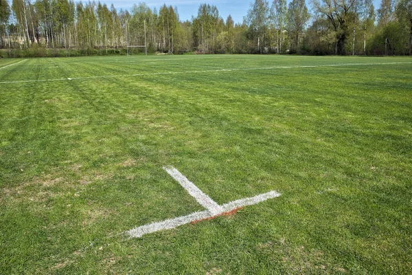 Een Verticaal Schot Van Hash Marks Een Amerikaans Voetbalveld — Stockfoto