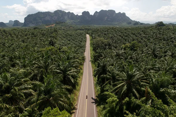 Drone Top View Country Road Luek Krabi Tailândia Rodeado Por — Fotografia de Stock