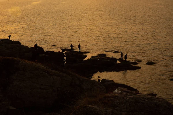 Groupe Personnes Debout Sur Rivage Rocheux Une Mer Tranquille Pendant — Photo