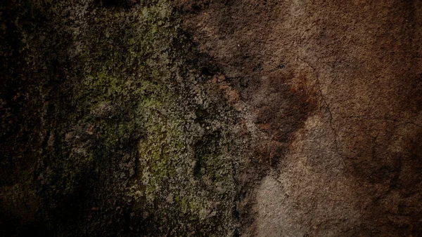 Detailní Záběr Grunge Texturované Tmavé Mechové Stěny — Stock fotografie