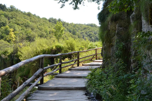 鬱蒼とした緑の森と険しい崖の間の木道の美しい素朴な風景 — ストック写真