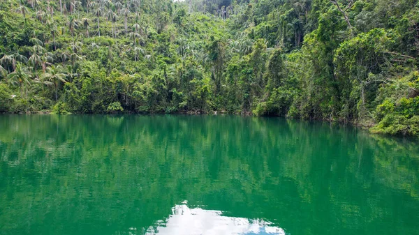 Filipinas Foto Drone Lago Água Esmeralda Cercado Por Floresta Tropical — Fotografia de Stock