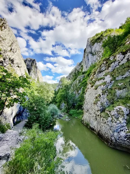 Вертикальный Снимок Реки Протекающей Через Горы Покрытые Зеленью Облачным Голубым — стоковое фото