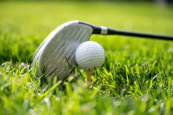 Primer Plano Palo Golf Una Pelota Colocada Césped Campo — Foto de Stock