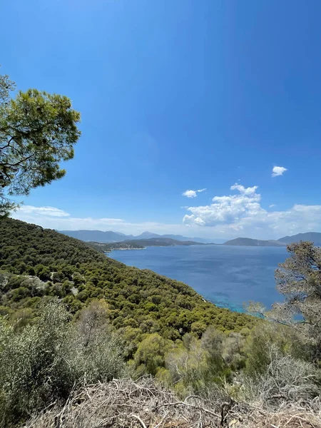 Colpo Verticale Bellissimi Alberi Verdi Colline Vicino Mare Nell Isola — Foto Stock