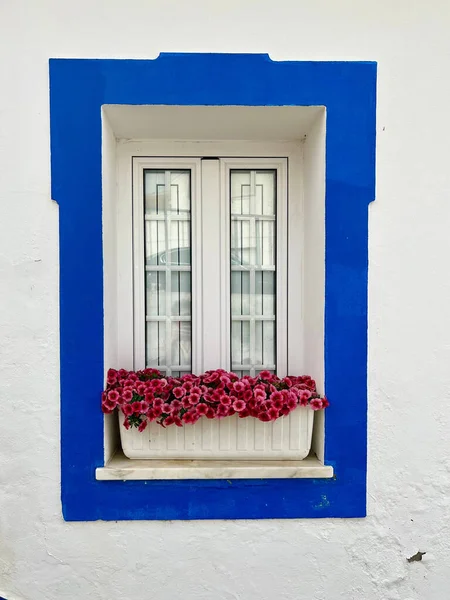 Vertical Shot Flower Pot Window Blue Border White Wall — Stock Photo, Image