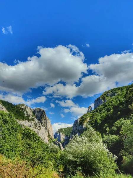 Plano Vertical Montañas Cubiertas Vegetación Bajo Cielo Azul Nublado Día —  Fotos de Stock