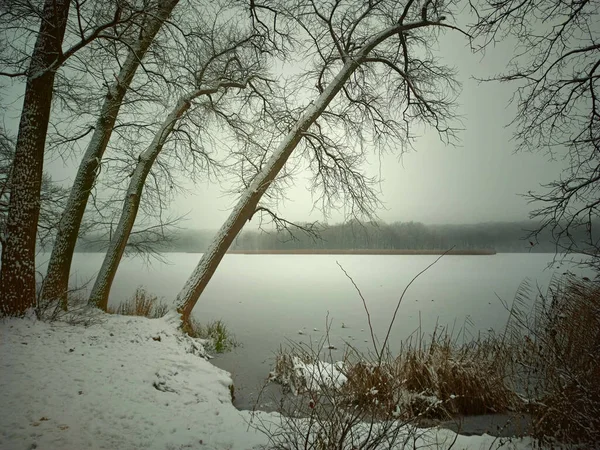 Yapraksız Ağaçlarla Çevrili Sakin Göl Suyuyla Güzel Bir Kış Manzarası — Stok fotoğraf