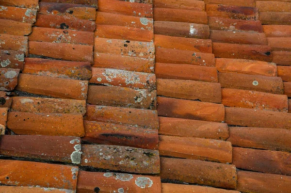 Close Detail Old Roof Tiles Texture — Stock Photo, Image