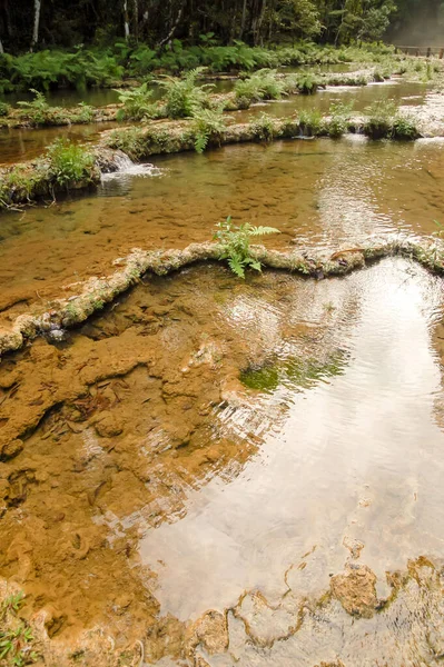 Krajobraz Semuc Champey Lanquin Gwatemala Ameryka Środkowa — Zdjęcie stockowe