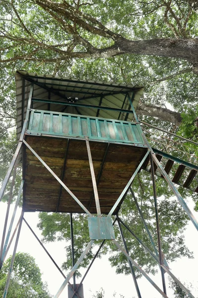 Der Wachturm Mandagadde Bird Sactuary Shimoga Oder Shivamogga Karnataka Indien — Stockfoto