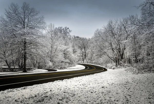 Une Belle Vue Sur Une Route Traversant Parc Seneca Recouvert — Photo