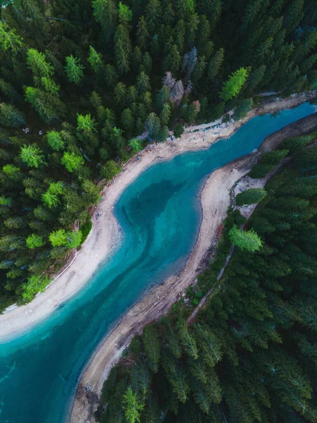イタリアの常緑樹に囲まれた美しい氷河の川の垂直方向のトップビュー — ストック写真