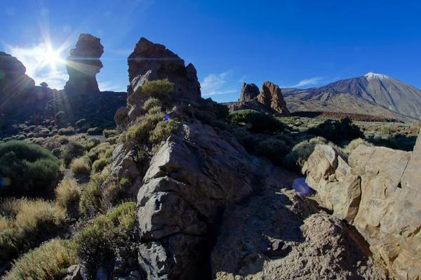 Τοπίο Της Ερήμου Στο Εθνικό Πάρκο Volcan Teide Τενερίφη Canary — Φωτογραφία Αρχείου