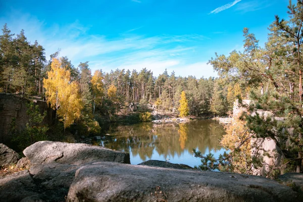 Ein Schöner Blick Auf Einen Teich Umgeben Von Hohen Bäumen — Stockfoto