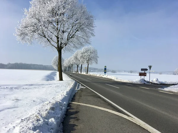 Eine Schmale Straße Die Winter Schönen Wald Gebaut Wird — Stockfoto