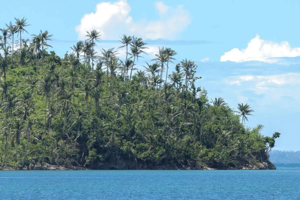 Een Prachtig Uitzicht Palmbomen Het Strand Van Een Eiland Filipijnen — Stockfoto