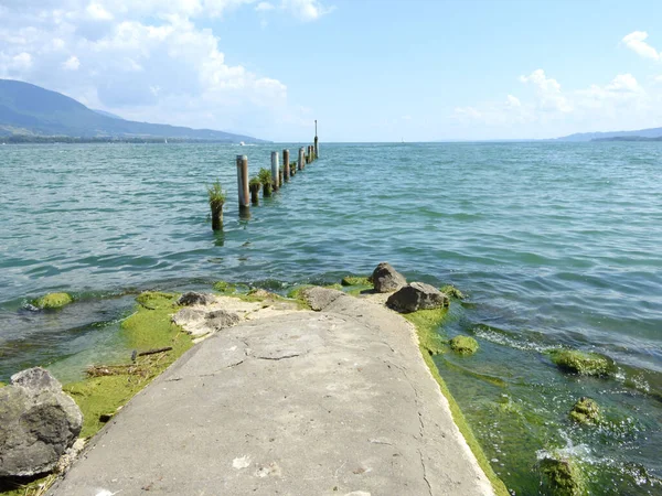 Ein Bemooster Stein Strand Einem Sonnigen Morgen — Stockfoto