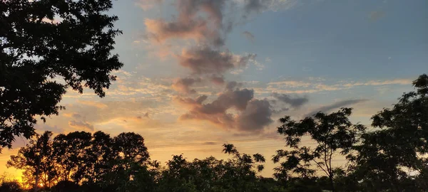 Une Silhouette Des Cimes Arbre Contre Ciel Nuageux Pendant Coucher — Photo