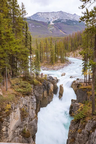 Ein Schöner Blick Auf Einen Wasserfall Von Felsen Einem Wald — Stockfoto