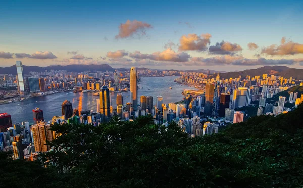 Повітряний Вид Міста Гонконг Заході Сонця — стокове фото