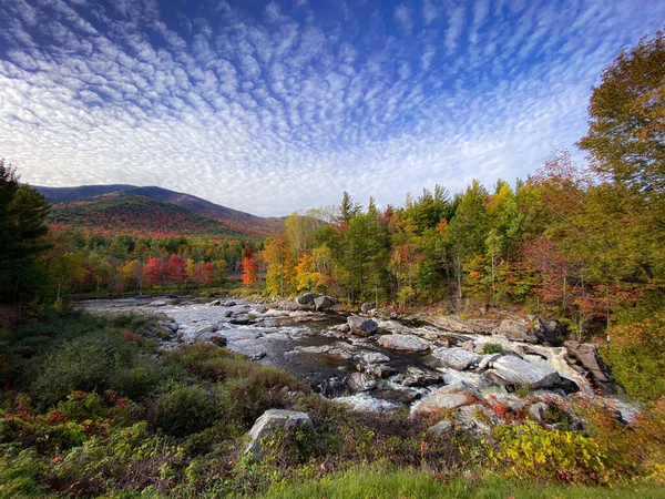 秋の森の中の川の美しい風景 — ストック写真