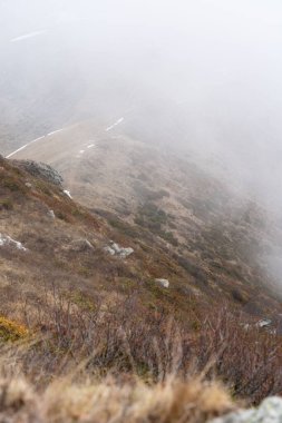 Sise buğulanmış kayalar ve kuru bitki örtüsü olan bir dağın dikey görüntüsü.