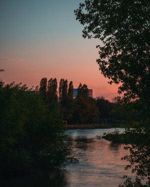 Dikey bir ağaç görüntüsü Parlak göl suyunun etrafında turuncu bir günbatımı gökyüzüne karşı