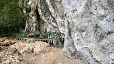 Malezya, Langkawi 'deki kayalık mağaraya giden ormanın güzel bir manzarası.