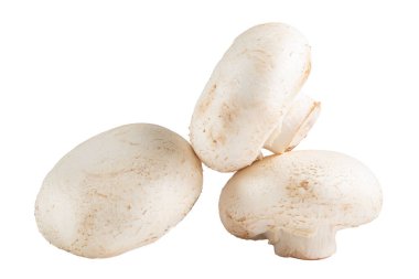 Beyaz arka planda izole edilmiş taze beyaz mantarların yakın plan çekimi.