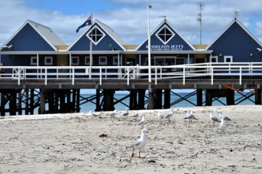 Batı Avustralya 'dan Busselton Jetty' nin güzel bir fotoğrafı.