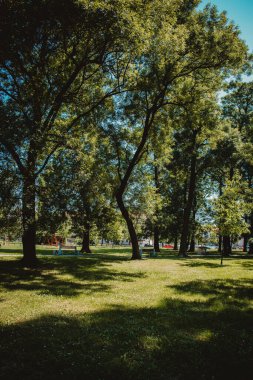 Çimenlik alanının dikey görüntüsü ve parktaki bankları ve oyun parkı olan ağaçlar.